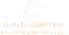 Bed and Breakfast Lingezegen